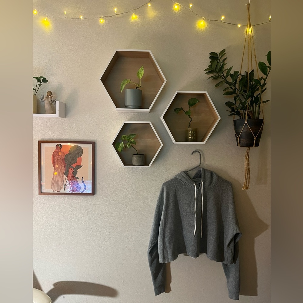 Grey Cropped Hoodie